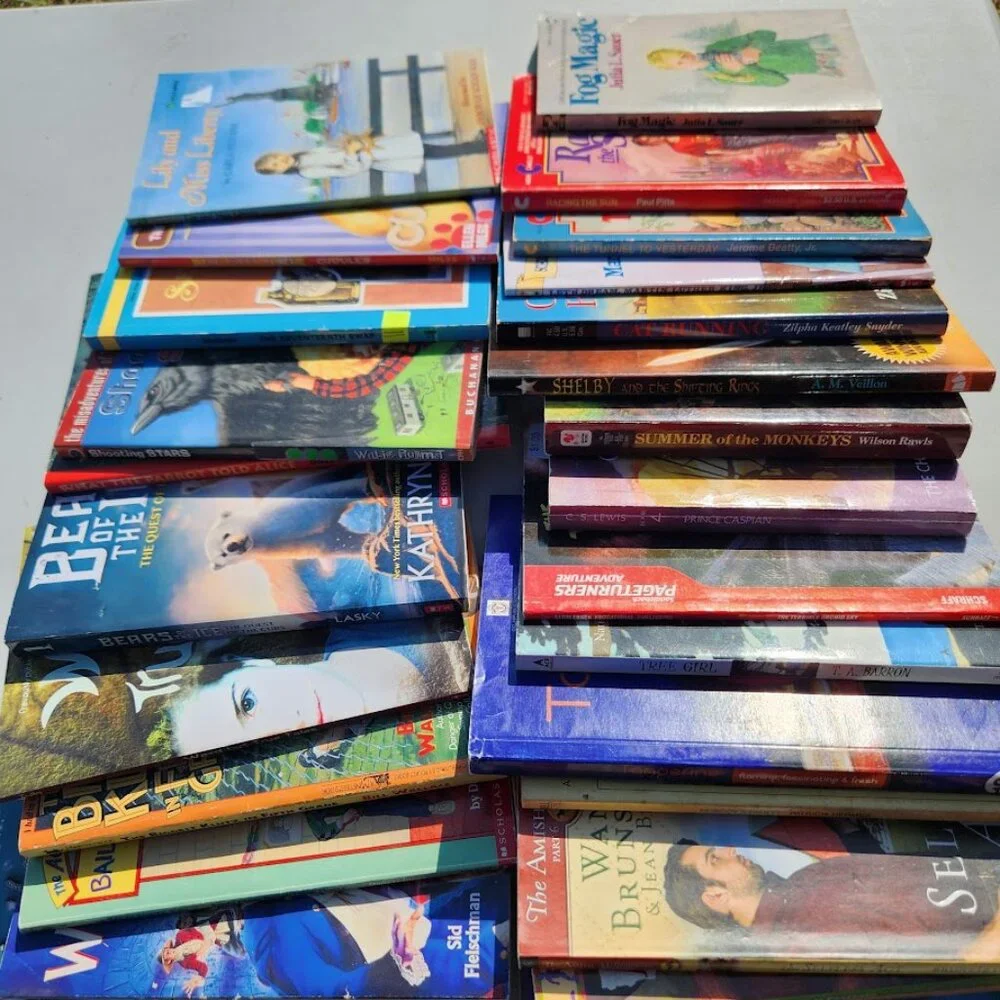 4 Book Bundle Lot Set Chapter Books Young Adult Literature Novels Mystery Books